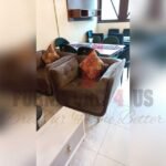 Sofa Set 23