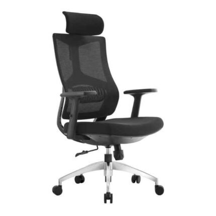 A 67 Ergonomic Chair