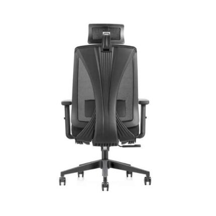 A 806 Black Ergonomic Chair - 2