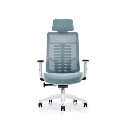 A 813 White & Green Ergonomic Chair