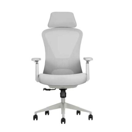 DG K2 Grey Ergonomic Chair