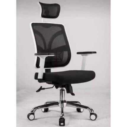 Ergonomic Chair Q37