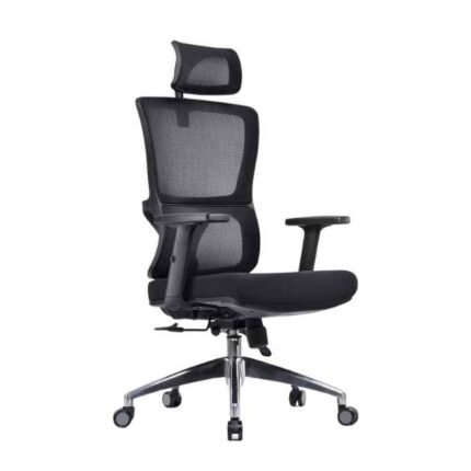 Q 52 Ergonomic Chair - 2